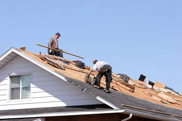 Best Chimney Flashing Repair  in Presidio, TX